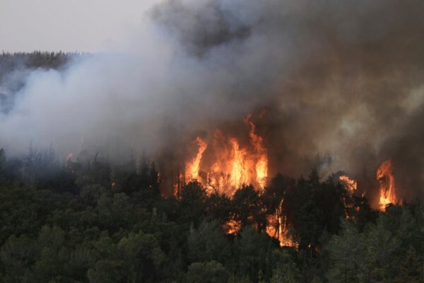 Jerusalem wildfires latest: Israel declares national emergency and appeals for international aid over ‘largest ever’ blaze … from the Independent Stuti Mishra