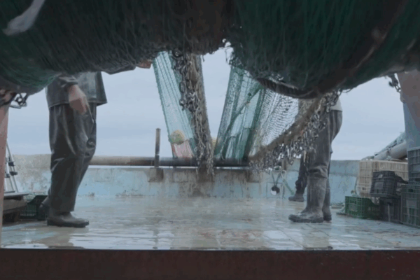 Shocking David Attenborough footage shows destruction caused by trawling seabed … from the Independent Rebecca Speare-Cole