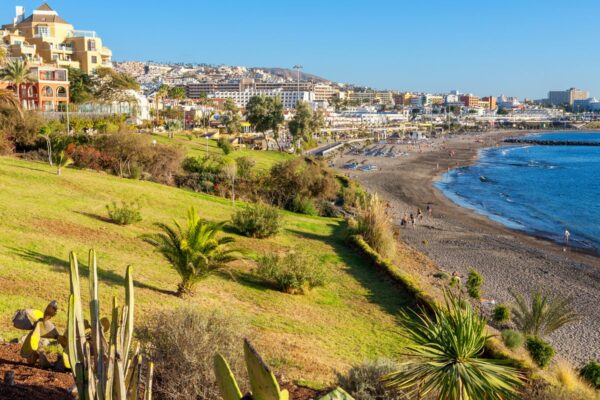 The 7 best things to do in Tenerife’s Costa Adeje, from sunbathing to whale watching … from the Independent Alice Reynolds