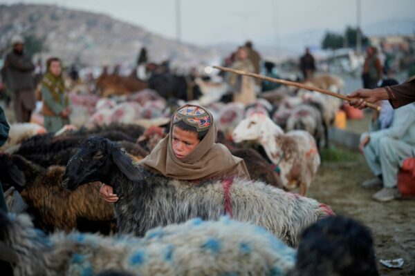 AP PHOTOS: Afghans mark Eid al-Adha on its third year since the return of the Taliban … from the Independent Ebrahim Noroozi
