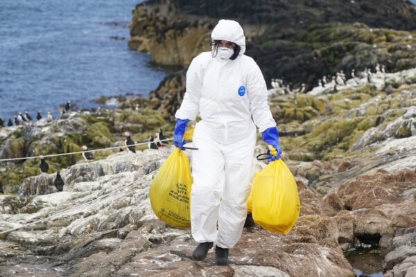Dire warning for Government as spectre of animal disease looms … from the Independent Emily Beament