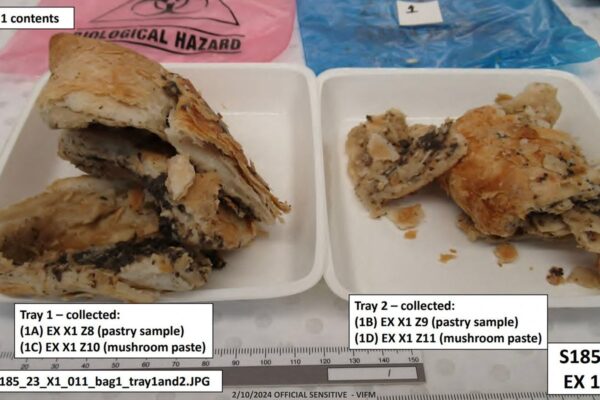 First photos of deadly beef wellington meal cooked by Erin Patterson released … from the Independent Shweta Sharma
