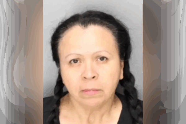 Woman accused of hitting and killing a 3-year-old with her car as she was leaving a firework show did not have a license, cops say … from the Independent Katie Hawkinson