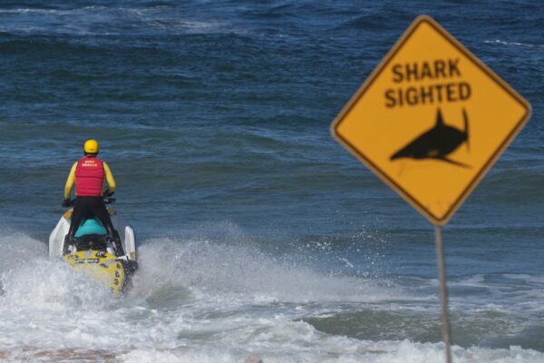 Beaches closed in Australia after man killed by shark … from the Independent Alisha Rahaman Sarkar