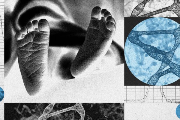 A New Startup Wants to Edit Human Embryos from Wired Emily Mullin