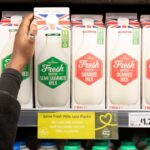 Full-fat milk vs low-fat milk: Study shows which is healthier for your heart … from the Independent Rebecca Whittaker