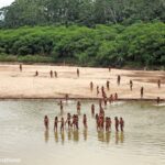 What to know about uncontacted Indigenous peoples and efforts to protect them … from the Independent Steven Grattan