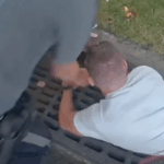 Dog rescued from storm drain after slipping off collar … from the Independent Holly Bishop