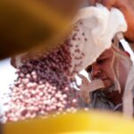 Brazilian farmers beef up soybean production as China halts business with US during trade fight … from the Independent Mauricio Savarese and Thiago Mostazo