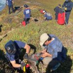 A San Francisco dog wags its tail and kisses rescuers after it’s plucked from the side of a cliff … from the Independent Audrey McAvoy