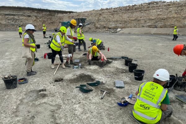 Dinosaur footprints from 166 million years ago discovered in UK quarry … from the Independent Harry Cockburn