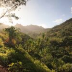 How a Spider Bite Became an Emergency Rescue on Hawaii’s Kalalau Hiking Trail from Outside magazine Maddy Dapcevich