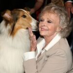 June Lockhart death: Lassie and Lost in Space star dies aged 100 … from the Independent Tom Murray