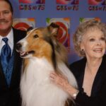‘TV mom’ known to millions dies aged 100 … from the Independent Tom Murray