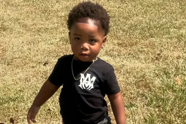 A 2-year-old was mauled to death by dogs. Now his babysitter has been charged with murder … from the Independent Isabel Keane