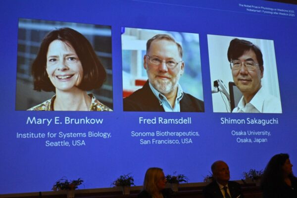 Pioneering immune research wins Nobel medicine prize … from the Independent Kostya Manenkov