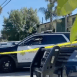 California mom arrested on murder charge after 7-year-old’s remain are found in a freezer … from the Independent Owen Scott