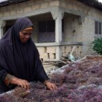 Harsh reality of women farming seaweed for beauty products revealed … from the Independent Jack Denton