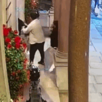 US visitor has watch stolen during violent mugging in London’s Mayfair … from the Independent Holly Bishop