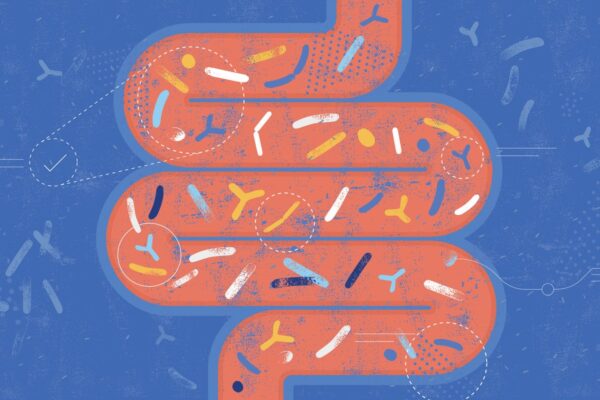 Microplastics can affect the gut in ways that mirror the impact of cancer, research suggests … from the Independent Tom Watling