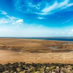 Man rescued from quicksand in race against time as tide approached … from the Independent Athena Stavrou