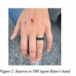 How Dangerous Is It Really to Work for ICE? … from Mother Jones Noah Lanard