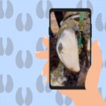 I’m Addicted to Hoof-Cleaning Videos. Here’s Why I Love Them. from Outside magazine awise