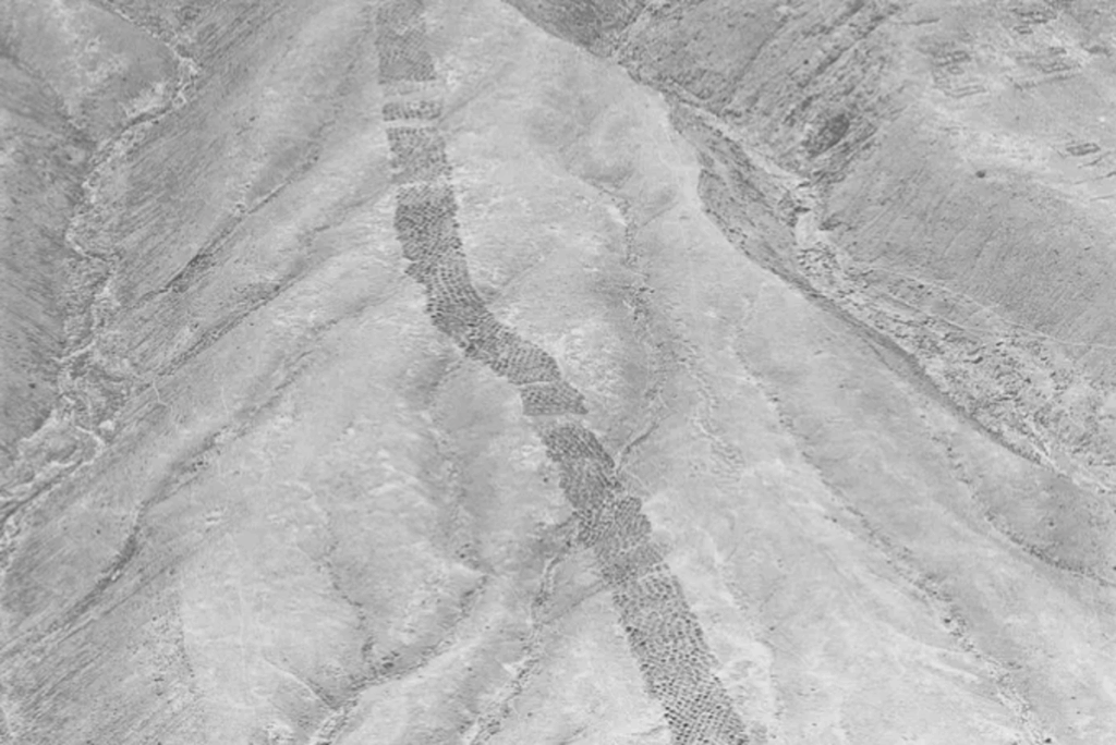 Archaeologists may have just solved mystery of Peru’s grid of holes … from the Independent Harry Cockburn